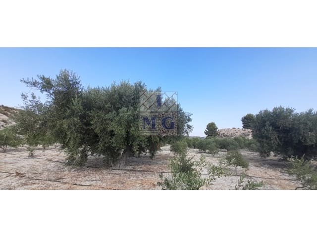 Undeveloped Land for sale in Fortuna - € 72,000 (Ref: 9412293)