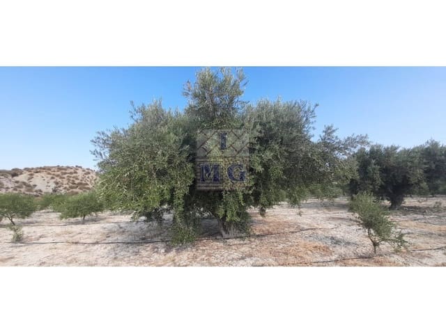 Undeveloped Land for sale in Fortuna - € 72,000 (Ref: 9412293)