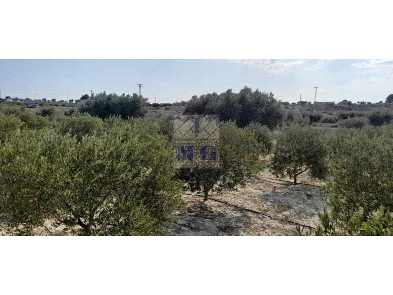 Undeveloped Land for sale in Fortuna - € 72,000 (Ref: 9412293)