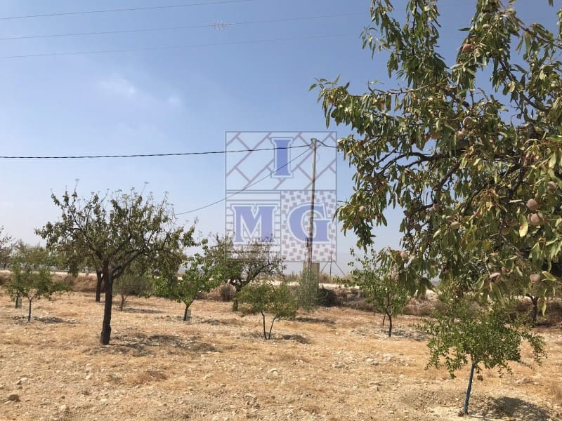 Undeveloped Land for sale in Fortuna - € 72,000 (Ref: 9412293)