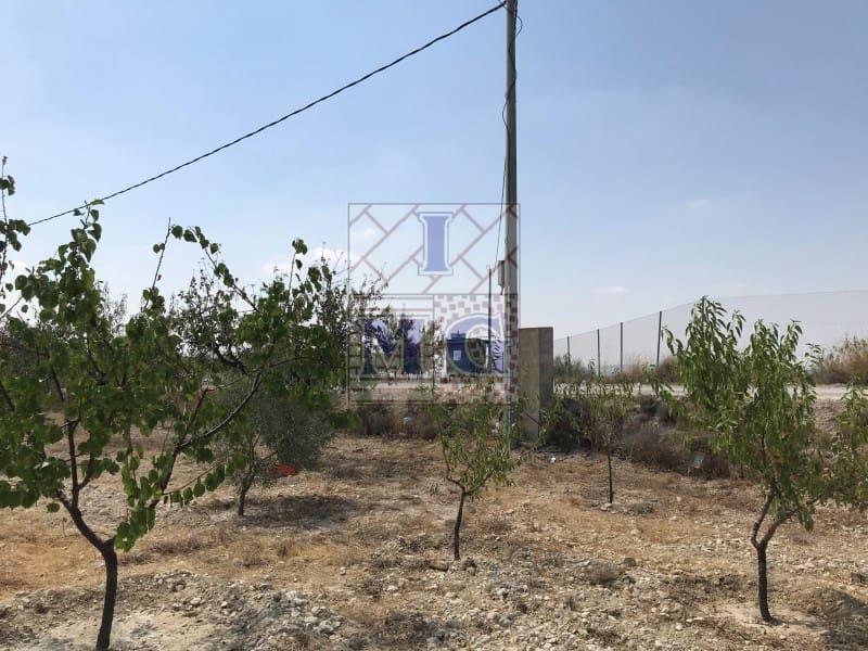 Undeveloped Land for sale in Fortuna - € 72,000 (Ref: 9412293)