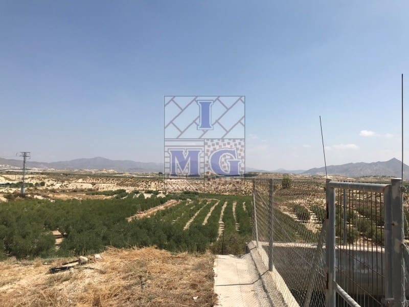 Undeveloped Land for sale in Fortuna - € 72,000 (Ref: 9412293)