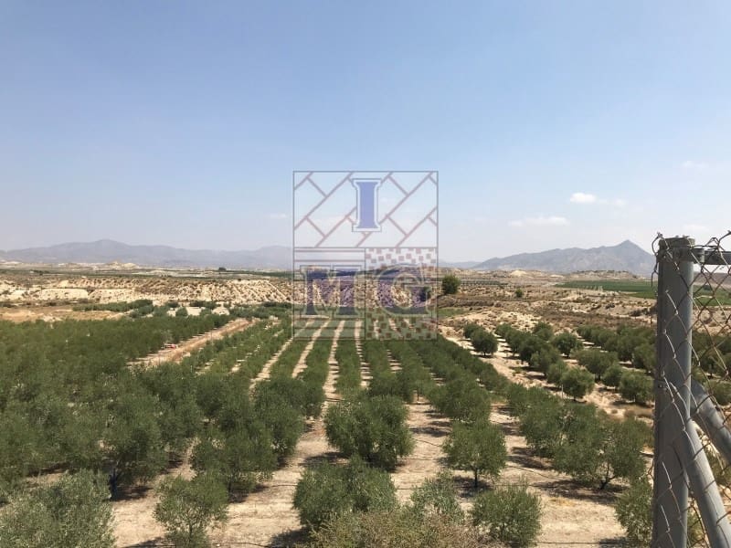 Undeveloped Land for sale in Fortuna - € 72,000 (Ref: 9412293)