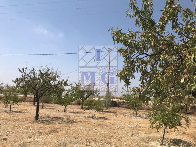 Undeveloped Land for sale in Fortuna - € 72,000 (Ref: 9412293)