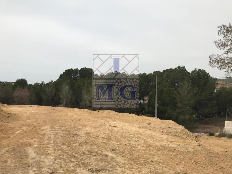 Terreno/Finca Rústica en El Esparragal en venta - 52.000 € (Ref: 9412294)
