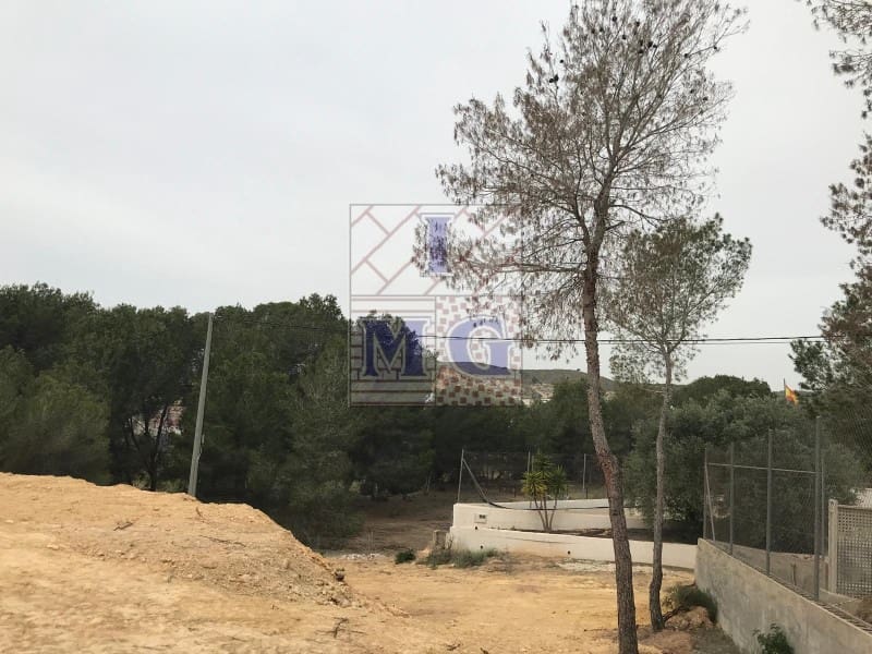 Terreno/Finca Rústica en El Esparragal en venta - 52.000 € (Ref: 9412294)