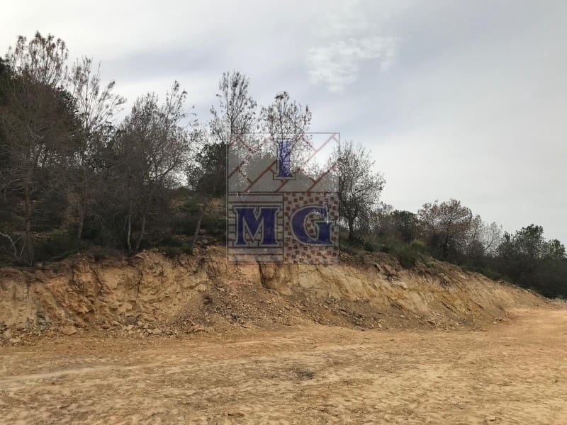 Terreno/Finca Rústica en El Esparragal en venta - 52.000 € (Ref: 9412294)