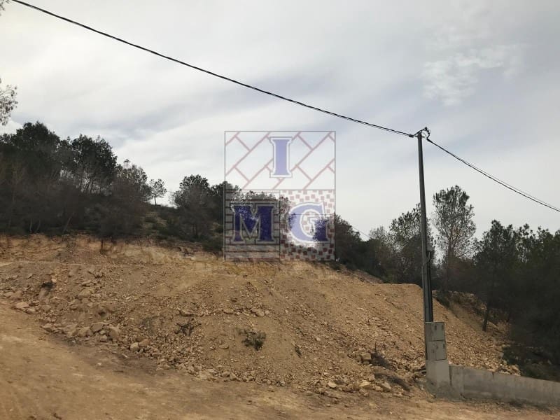 Terreno/Finca Rústica en El Esparragal en venta - 52.000 € (Ref: 9412294)