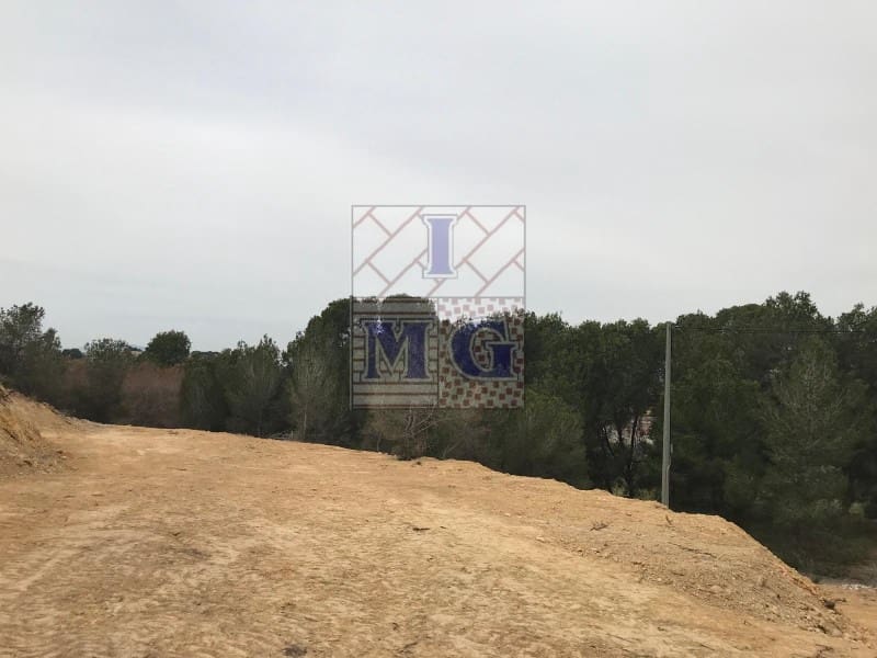 Terreno/Finca Rústica en El Esparragal en venta - 52.000 € (Ref: 9412294)