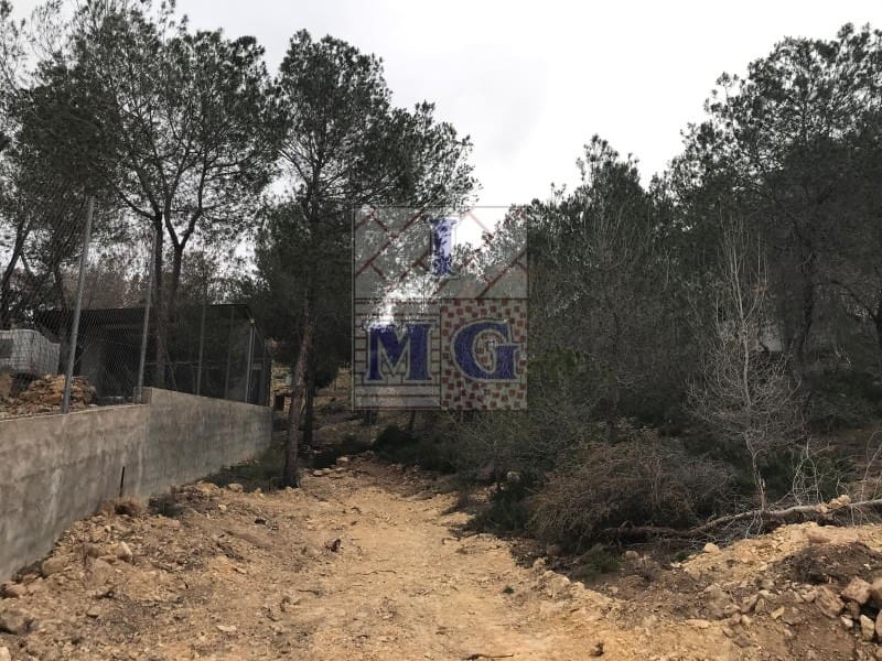 Terreno/Finca Rústica en El Esparragal en venta - 52.000 € (Ref: 9412294)