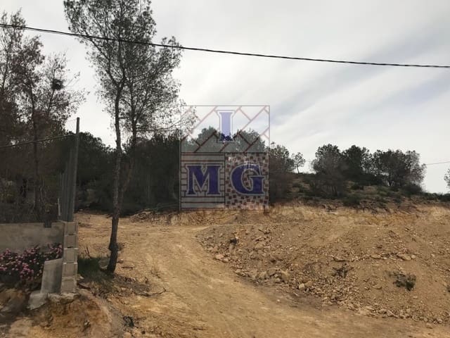 Terreno/Finca Rústica en El Esparragal, Murcia ciudad en venta - 52.000 € (Ref: 9412294)