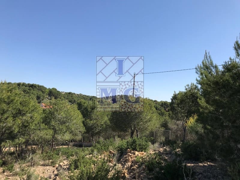 Terreno/Finca Rústica en El Esparragal en venta - 52.000 € (Ref: 9412294)