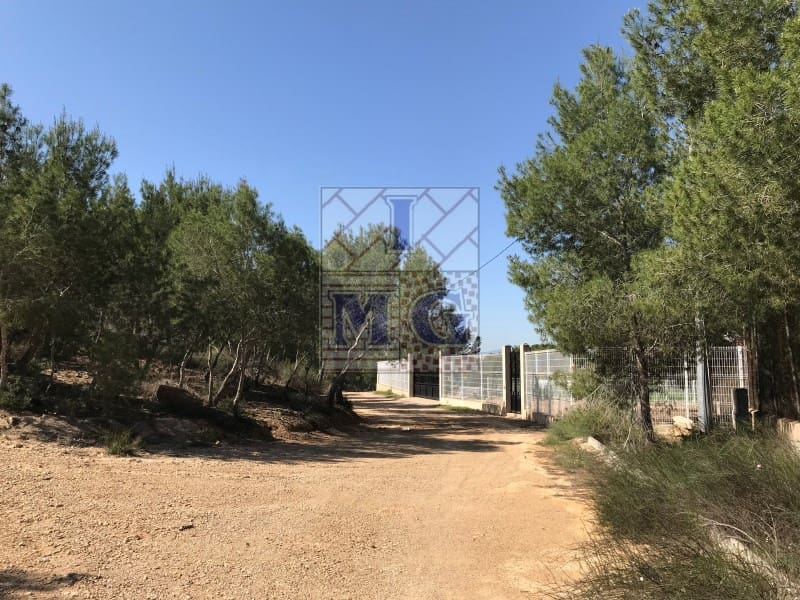 Terreno/Finca Rústica en El Esparragal en venta - 52.000 € (Ref: 9412294)