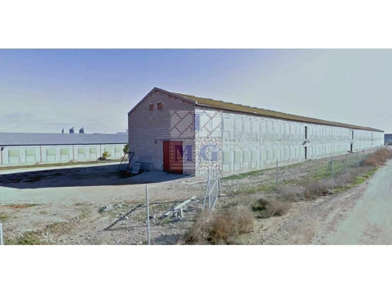 1 bedroom Finca/Country House for sale in Albacete city - € 850,000 (Ref: 9412300)