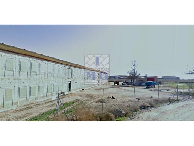 1 Zimmer Finca/Landgut zu verkaufen in Pedanías, Albacete Stadt - 850.000 € (Ref: 9412300)