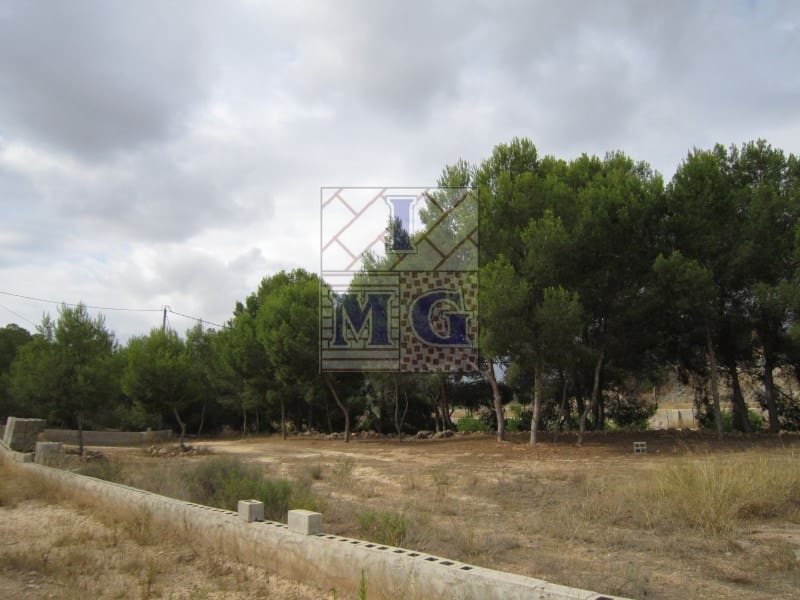 Terreno/Finca Rústica en El Esparragal en venta - 60.000 € (Ref: 9412301)