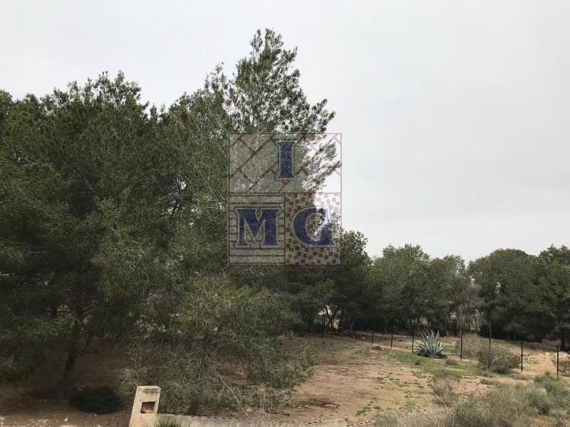 Terreno/Finca Rústica en El Esparragal en venta - 60.000 € (Ref: 9412301)