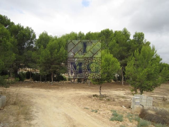 Terreno/Finca Rústica en El Esparragal, Murcia ciudad en venta - 60.000 € (Ref: 9412301)