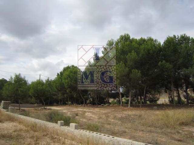 Terreno/Finca Rústica en El Esparragal, Murcia ciudad en venta - 60.000 € (Ref: 9412301)