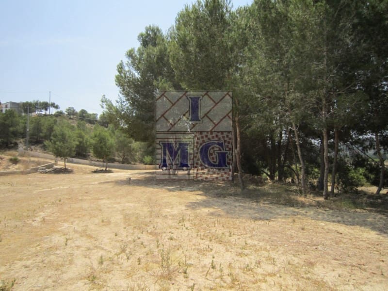 Terreno/Finca Rústica en El Esparragal en venta - 60.000 € (Ref: 9412301)