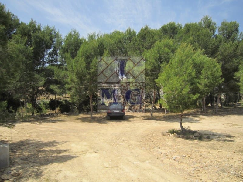 Terreno/Finca Rústica en El Esparragal en venta - 60.000 € (Ref: 9412301)