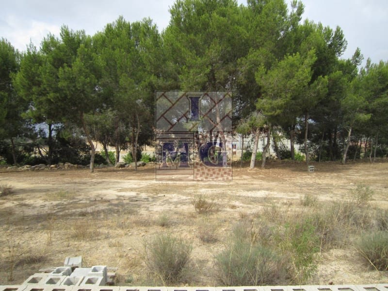 Terreno/Finca Rústica en El Esparragal en venta - 60.000 € (Ref: 9412301)