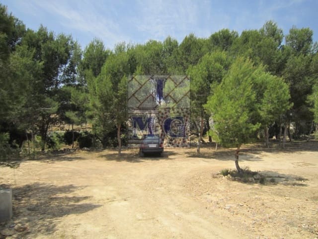 Terreno/Finca Rústica en El Esparragal, Murcia ciudad en venta - 60.000 € (Ref: 9412301)