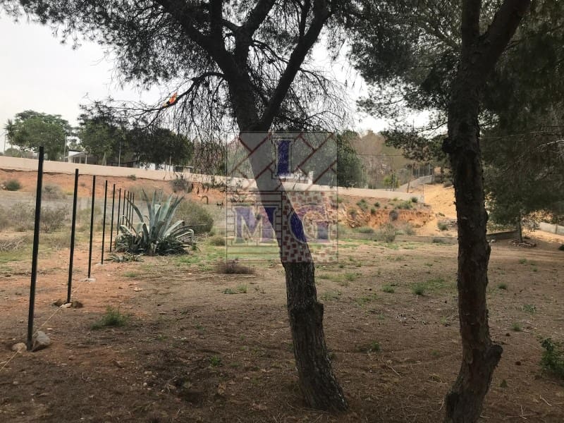 Terreno/Finca Rústica en El Esparragal en venta - 60.000 € (Ref: 9412301)