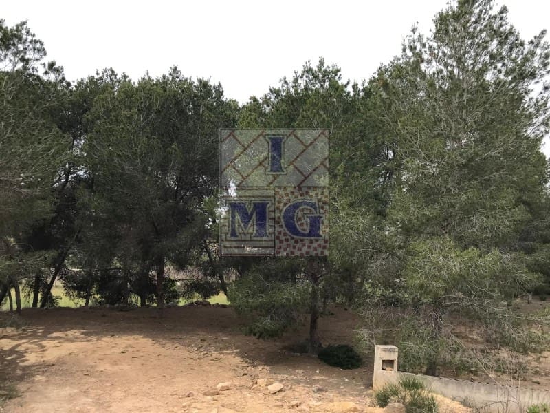 Terreno/Finca Rústica en El Esparragal en venta - 60.000 € (Ref: 9412301)