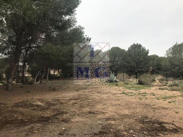 Terreno/Finca Rústica en El Esparragal, Murcia ciudad en venta - 60.000 € (Ref: 9412301)