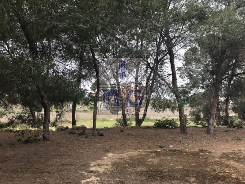Terreno/Finca Rústica en El Esparragal en venta - 60.000 € (Ref: 9412301)