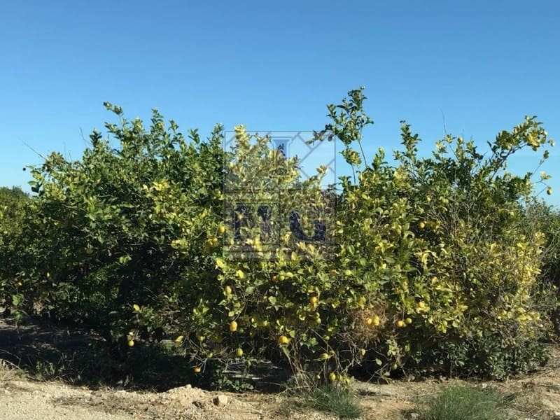 2 bedroom Finca/Country House for sale in El Esparragal - € 118,000 (Ref: 9412302)