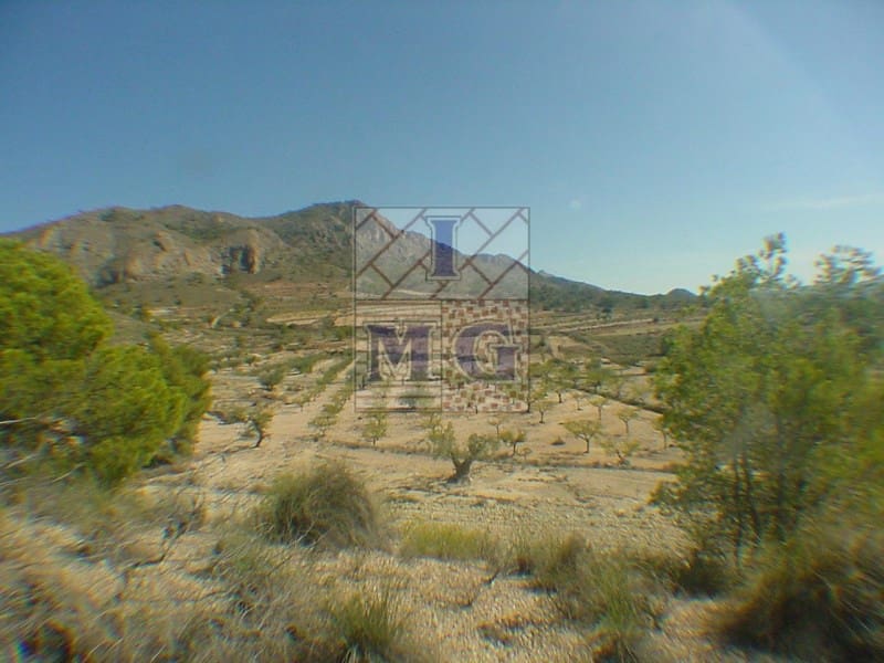 Building Plot for sale in Barinas - € 160,000 (Ref: 9412305)