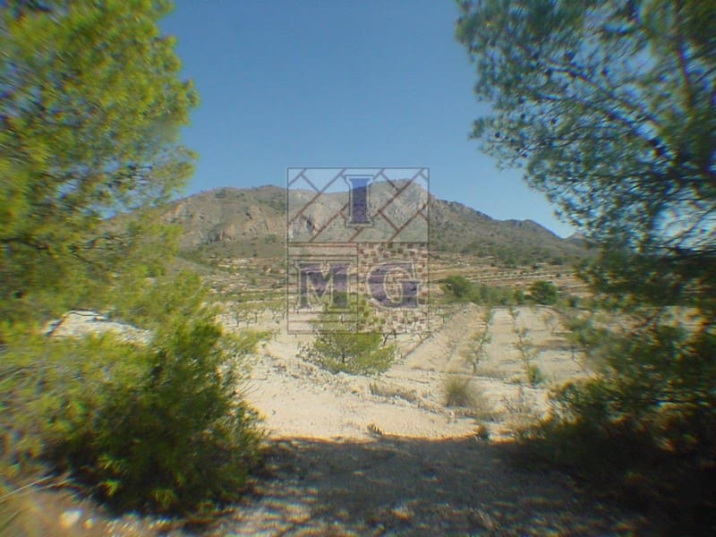 Building Plot for sale in Barinas - € 160,000 (Ref: 9412305)