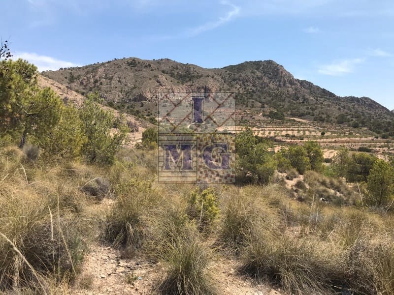 Building Plot for sale in Barinas - € 160,000 (Ref: 9412305)