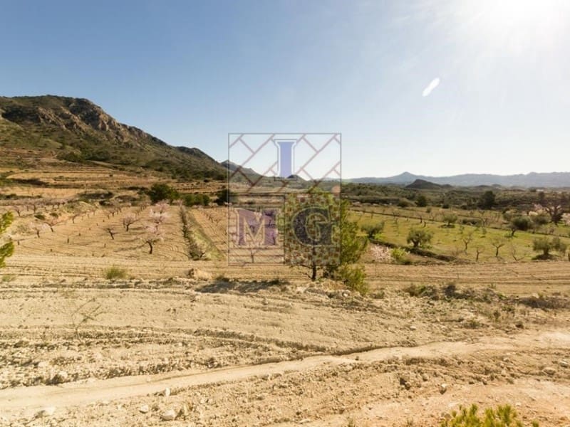 Building Plot for sale in Barinas - € 160,000 (Ref: 9412305)