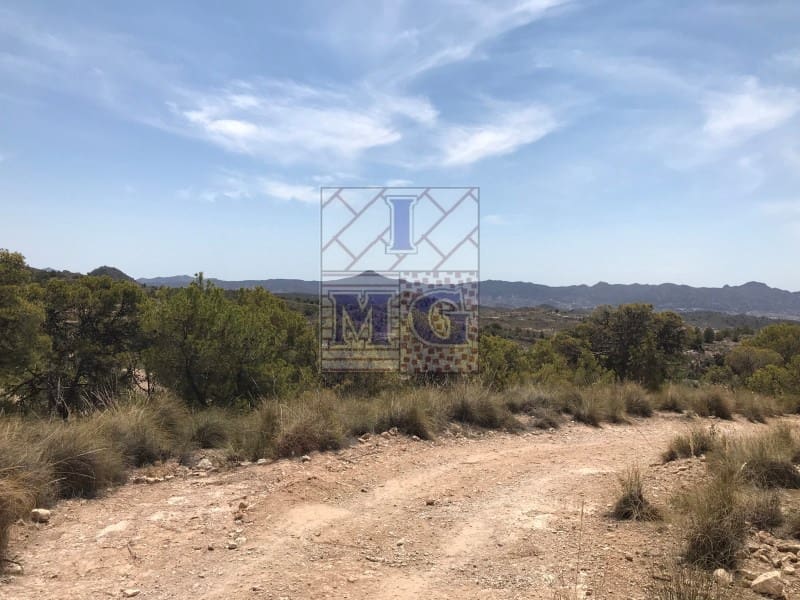 Building Plot for sale in Barinas - € 160,000 (Ref: 9412305)
