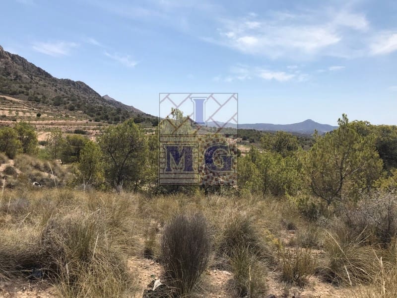 Building Plot for sale in Barinas - € 160,000 (Ref: 9412305)