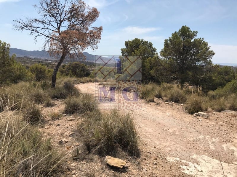 Building Plot for sale in Barinas - € 160,000 (Ref: 9412305)