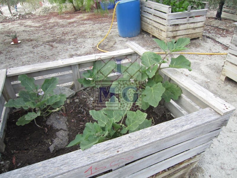 1 bedroom Finca/Country House for sale in Fortuna - € 124,000 (Ref: 9412306)