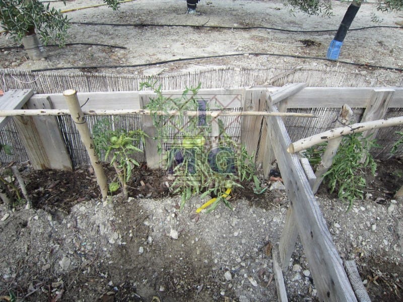 1 bedroom Finca/Country House for sale in Fortuna - € 124,000 (Ref: 9412306)