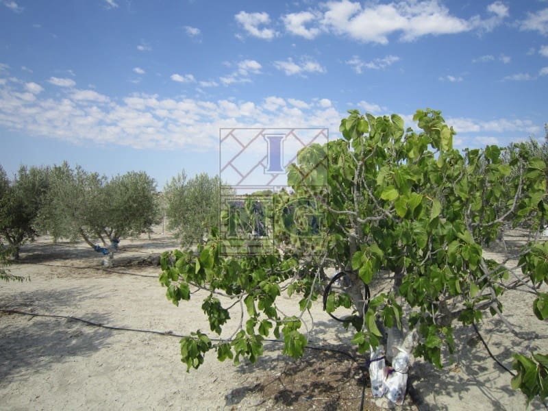 1 bedroom Finca/Country House for sale in Fortuna - € 124,000 (Ref: 9412306)