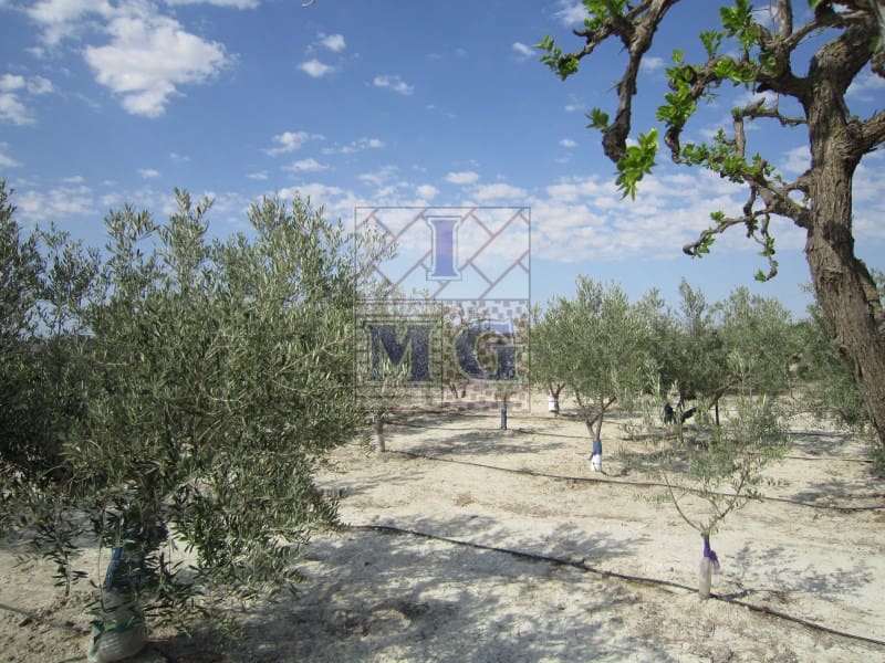 1 bedroom Finca/Country House for sale in Fortuna - € 124,000 (Ref: 9412306)