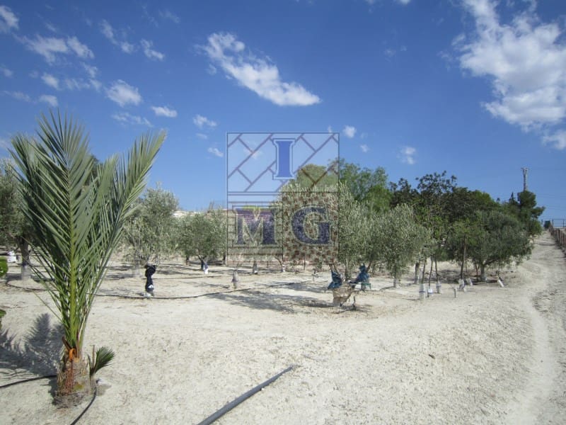 1 bedroom Finca/Country House for sale in Fortuna - € 124,000 (Ref: 9412306)