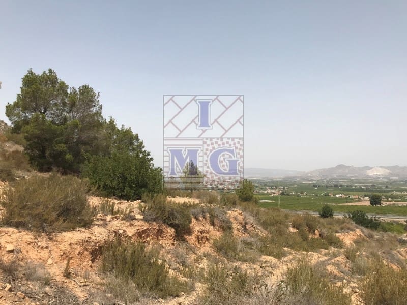 Landgrundstück zu verkaufen in Orihuela - 48.000 € (Ref: 9412328)