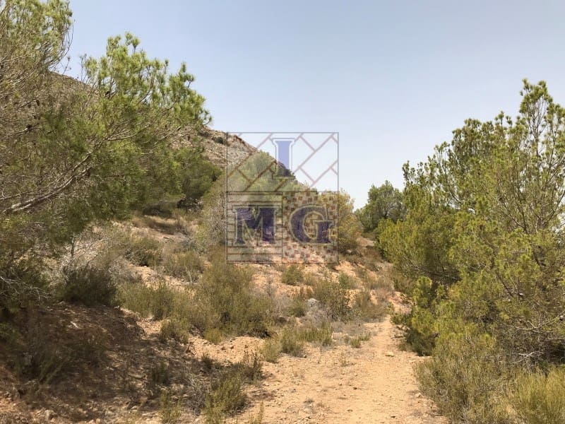 Landgrundstück zu verkaufen in Orihuela - 48.000 € (Ref: 9412328)