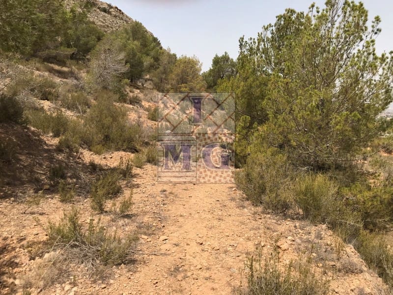 Landgrundstück zu verkaufen in Orihuela - 48.000 € (Ref: 9412328)