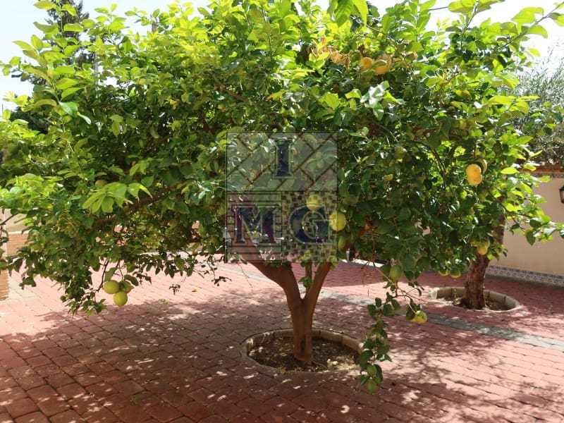 4 makuuhuone Huvila myytävänä paikassa Zarandona mukana 
autotalli - 420 000 € (Ref: 9412329)