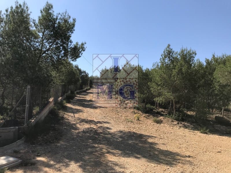 Terreno/Finca Rústica en El Esparragal en venta - 23.000 € (Ref: 9412330)