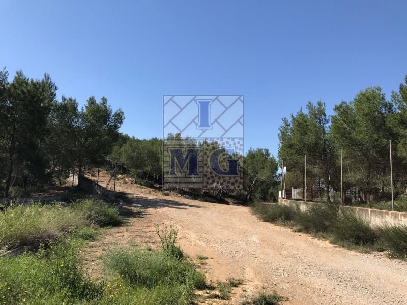 Terreno/Finca Rústica en El Esparragal en venta - 23.000 € (Ref: 9412330)